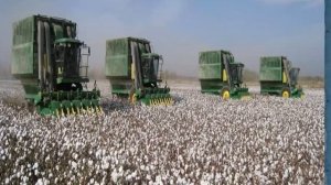 7 класс. Отрасли мирового хозяйства: сельское хозяйство и промышленность