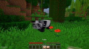 Everything You Need To Know About PANDAS In Minecraft!