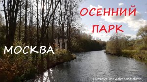 Прогулка по осеннему парку. Москва.