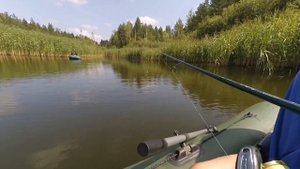 рыбалка в Брянске. карьеры, Фосфоритный завод, Большое полпино. щука из под тросника