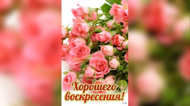 Хорошего воскресенья! Отличного воскресенья!