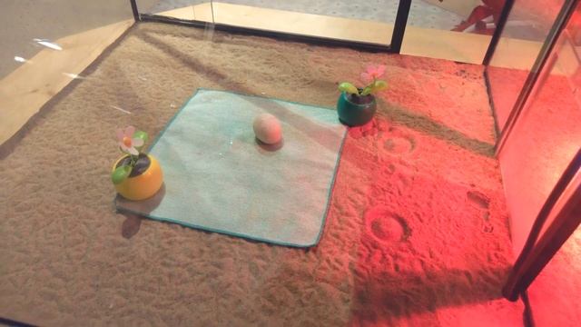 Лучшее видео о научном музее АХХАА Тарту, Эстония смотреть онлайн