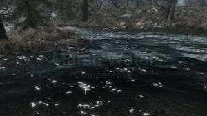 Immersive Water 3