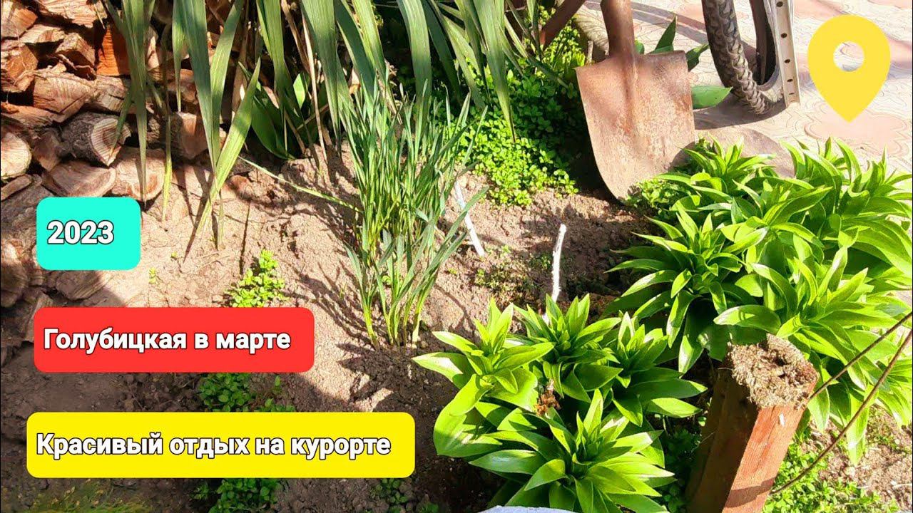 Курорт Голубицкая, отдых все включено// Азовское море