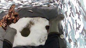 Зимняя рыбалка