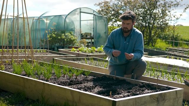 Как получить фантастические результаты при прямом Посеве смотреть онлайн