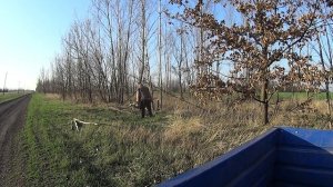 Малина заготовка дренажа в траншею!