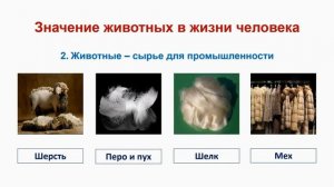 Тема 17. Значение животных в природе и жизни человека