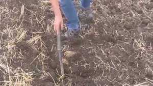 Борона дисковая БДМВ 2,3х2 КД "Кортес" производства ООО "БДТ-АГРО" против Амазон Катрос