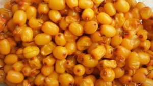 Компот из облепихи