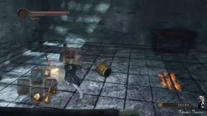 Dark Souls 2 SotFS - Собираем билд хексера SL 50 [Гайд]