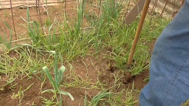 торнадо ручной культиватор самодельный смотреть онлайн