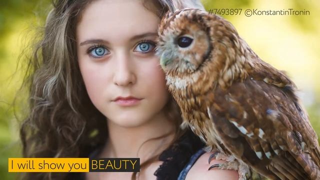 создание рекламных видеороликов смотреть онлайн