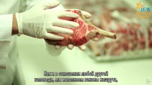 Что такое кошер? Что значит "кошерная" еда, "кашрут"?