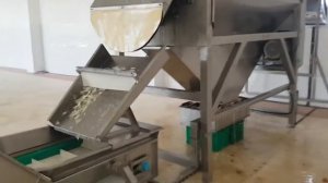 Огненная лукочистка от Bigtem – промышленная чистка лука огнем. Машина для чистки баклажан от кожур