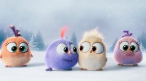 The Angry Birds Movie – Happy Christmas from the Hatchlings! Now Available on Digital Download