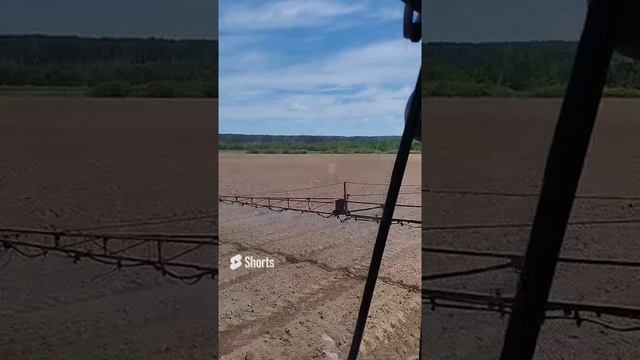 опрыскивание моркови до всходов гербицидом