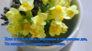 Для моего единственного мужа