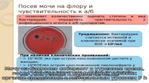 Правила подготовки к сдаче мочи на бакпосев