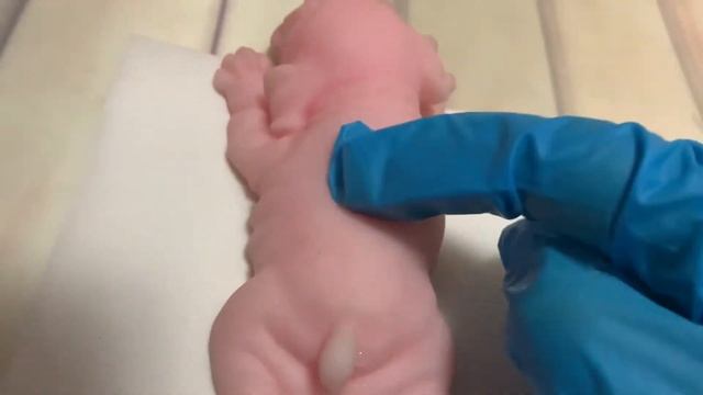 Как правильно провакцинировать сквиши собачку? смотреть онлайн