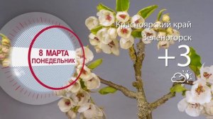 Погода в Красноярском крае на 08.03.2021