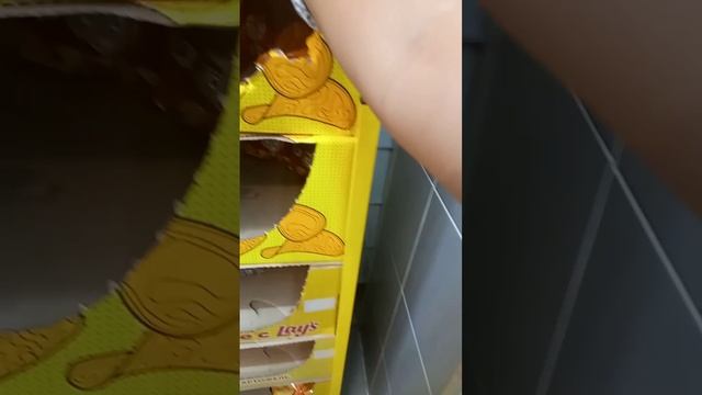 домафоны