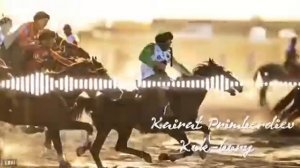 Кок бору ыр