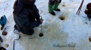 рыбалка на сазана