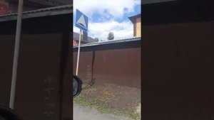 На машине. Челябинская область. Село Долгодеревенское.