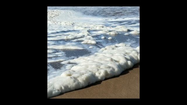 На белом покрывале января смотреть онлайн