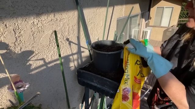 Garden Growing in Kitchen Composter Bin Food Scraps from Seed NO TURN Container Gardening Raised Be смотреть онлайн