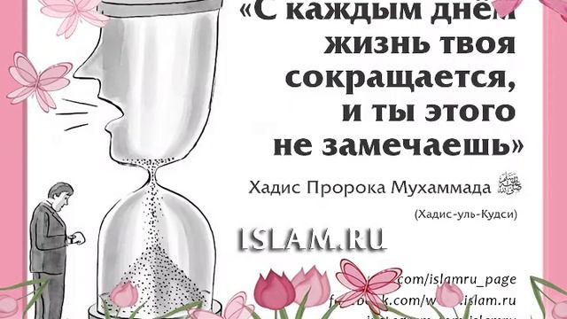 Хадисы пророка про жизнь