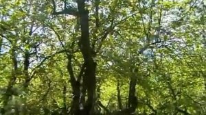 СОХРАНИМ ПРИРОДУ