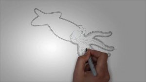 Морские обитатели КАЛЬМАР. Как нарисовать морских обитателей