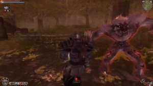 Fable TLC: ГЛАВНЫЙ СЕКРЕТ ИГРЫ (убийство 1019 стражников в Оуквэйле)