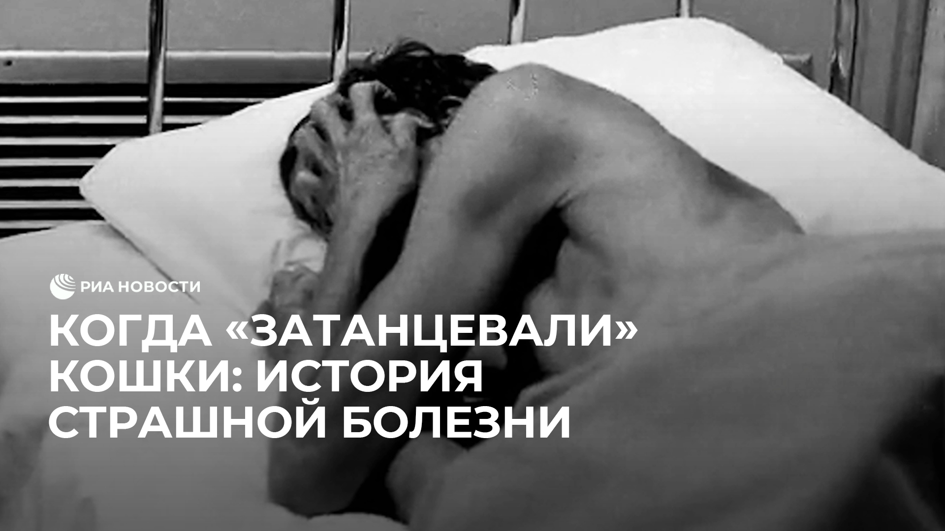 Когда "затанцевали" кошки: история страшной болезни