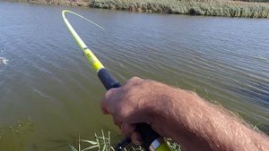 Рыбалка пруд пеньки  балки Ставропольский Край