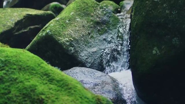 TOTO Neorest NX умный электронный унитаз с функцией биде смотреть онлайн