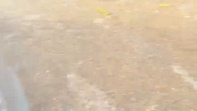 VW TRANSPORTER смотреть онлайн