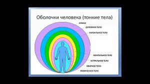 Тонкие тела человека(оболочки), их строение и функции