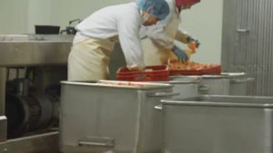 Страна труда. Расфасовщик мясопродуктов: «Алга, Казахстан!»