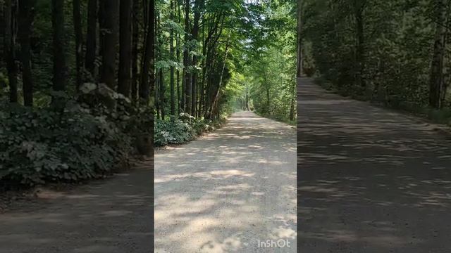 Наши лесные тропинки, Талдомский район (дача) смотреть онлайн