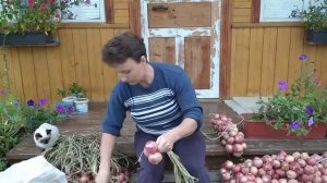 Вяжем лук в косы. Быстро и просто.