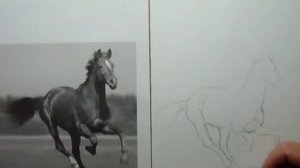 Как нарисовать лошадь карандашом поэтапно!