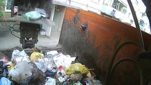 Один рейс на мусоровозе.Июнь 2019.Russian garbage truck.