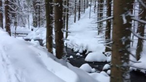 Крконоше, Чехия, 17.12.17 :: Спуск на лыжах в Пец под Снежкой из Jelení Louky