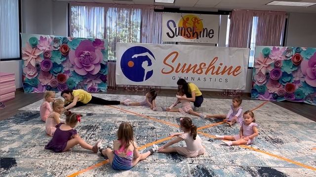 Открытое занятие по художественной гимнастике (возраст 2-4 года) смотреть онлайн