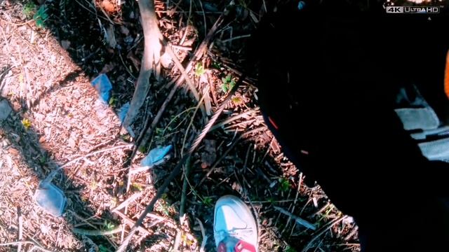 В это сложно поверить | Если не увидеть своими глазами | Кормлю диких уток на пруду #кряква #утки смотреть онлайн