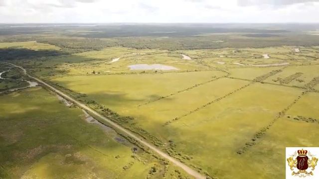 Тюменский гектар в Успенке 100 соток за 99тр от Тюменского Гектара