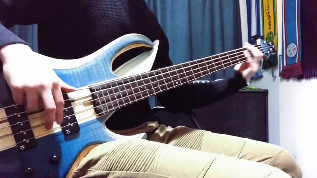 RAGE AGAINST THE MACHINE - Bulls On Parade | Bass Cover | Ibanez BTB 20th Anniversary 5 String смотреть онлайн